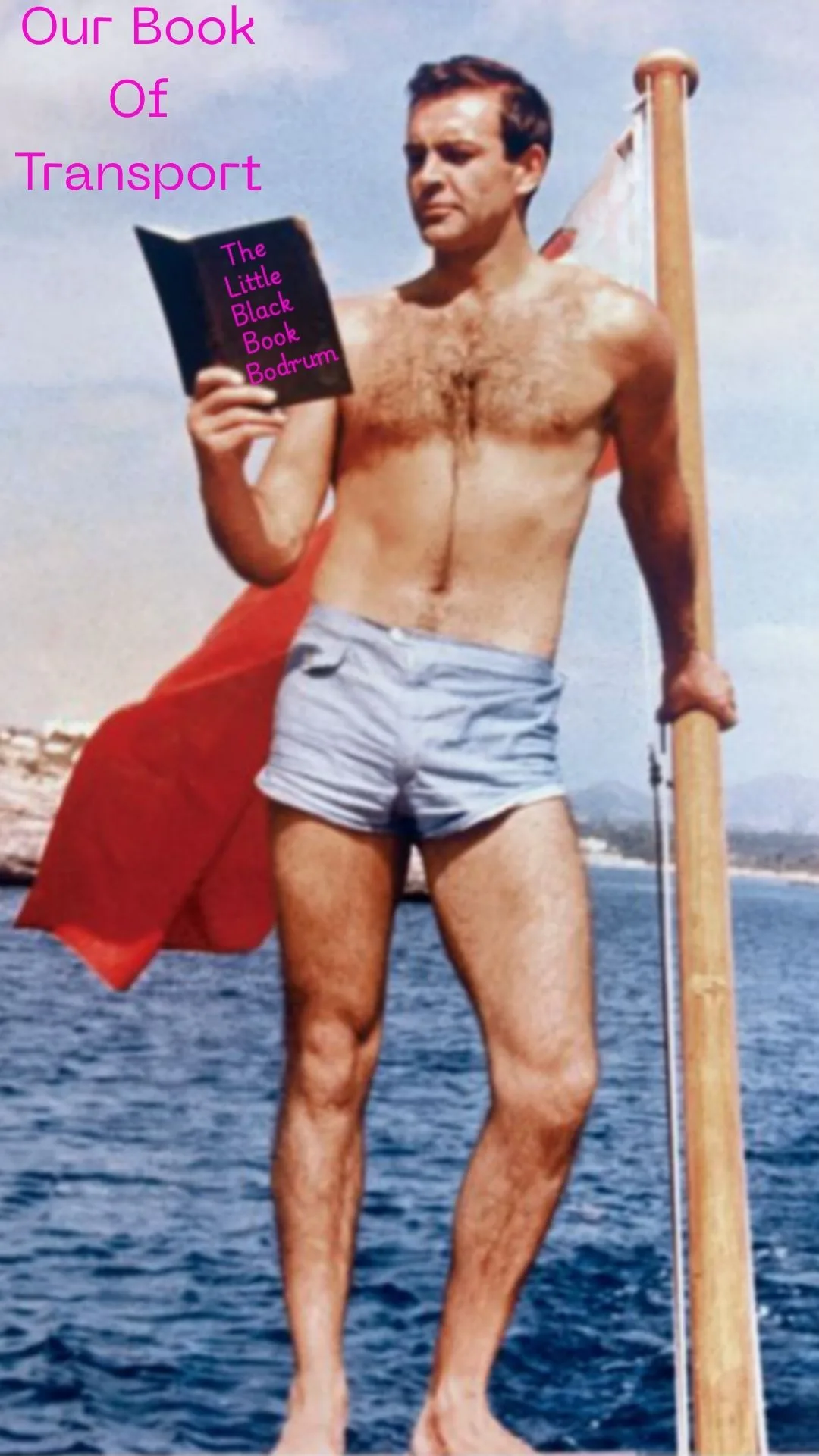 Vito Vans, Private airport transfers in Bodrum with The Little Black Book Bodrum.